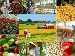 Đắk Lắk đầu tư 140 tỷ đồng hiện đại hóa khuyến nông, hướng tới nền nông nghiệp số